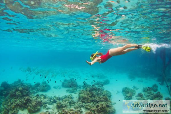 Experience the best snorkeling in andaman islands