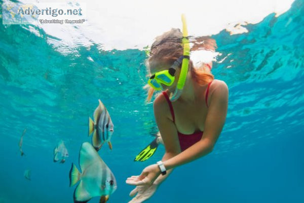 Experience the best snorkeling in andaman islands