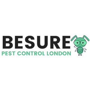 Top Spider Control Services in London