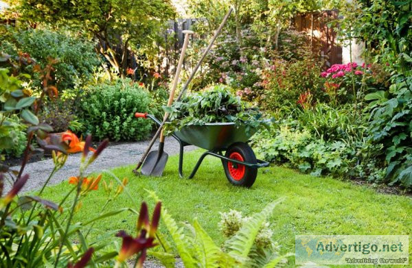 Spring Yard Preparations