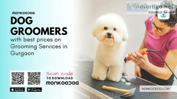 Top 10 Dog Groomers in Gurgaon With Best Prices