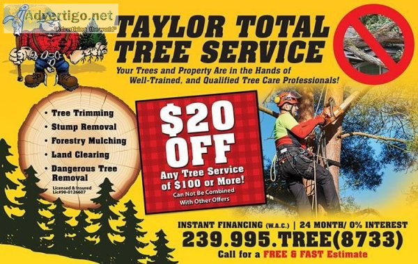 FREE ESTIMATES FULL SERVICE TREE COMPANY DANGEROUS TREE REMOVAL