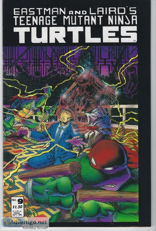 Eastman And Laird s Teenage Mutant Ninja Turtles  9 (Mirage)