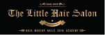 Top salon in pune - the little hair salon