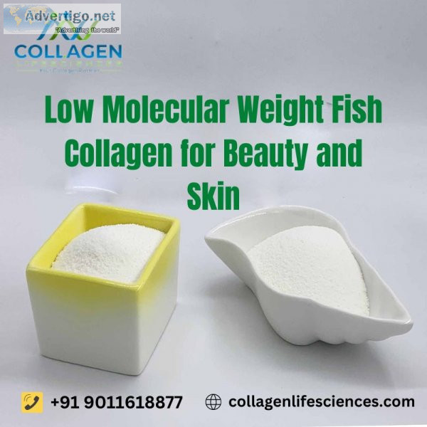 Low molecular weight fish collagen for beauty and skin