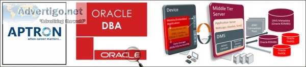 Oracle DBA Training in Delhi