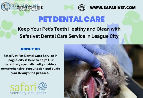 Keep Your Pet s Teeth Healthy and Clean with Safarivet Dental Ca