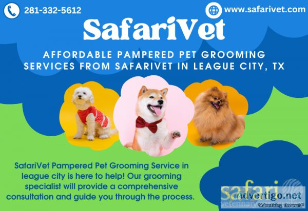 Get Affordable Pampered Pet Grooming Services from Safari Veteri