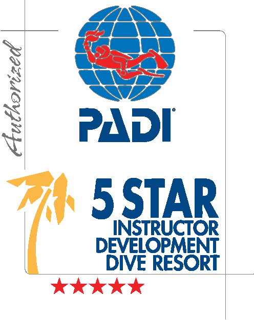 Padi divemaster gili trawangan