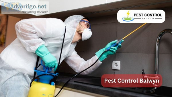 Pest control balwyn