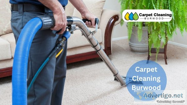 Carpet cleaning burwood