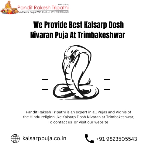 We provide best kalsarp dosh nivaran puja at trimbakeshwar