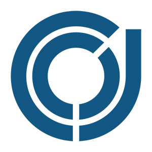 Finance executive search | corporate cfo executive recruiters ? 