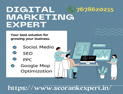 Best freelance seo expert in delhi noida gurgaon