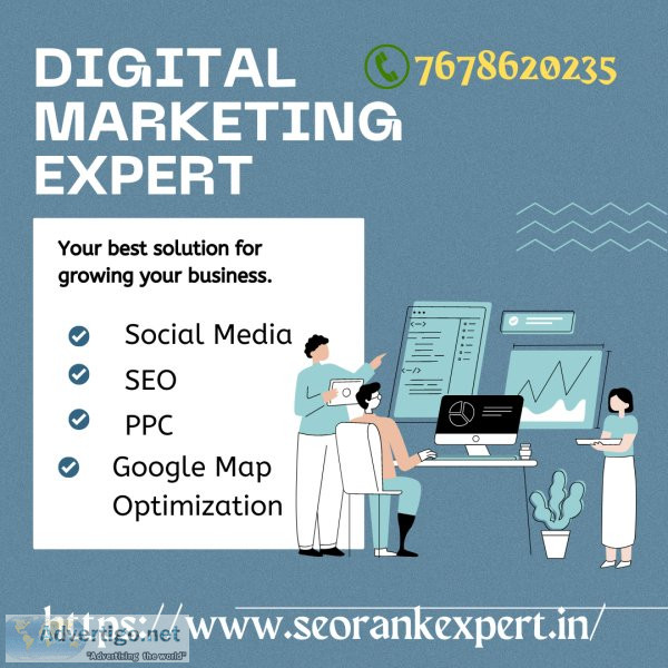 Best seo expert freelancer in india