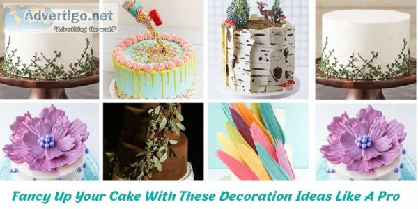 Are You In Search Of The Best Cake Decorating Equipment Shop ?