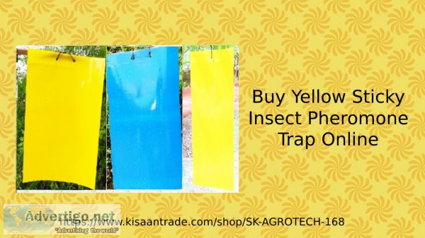 Buy yellow sticky insect pheromone trap online