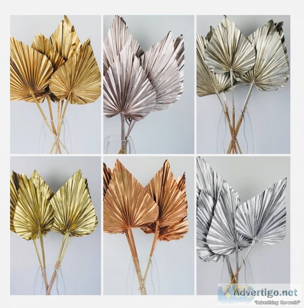 Palm sun add nature to your space-dried flowers & decor