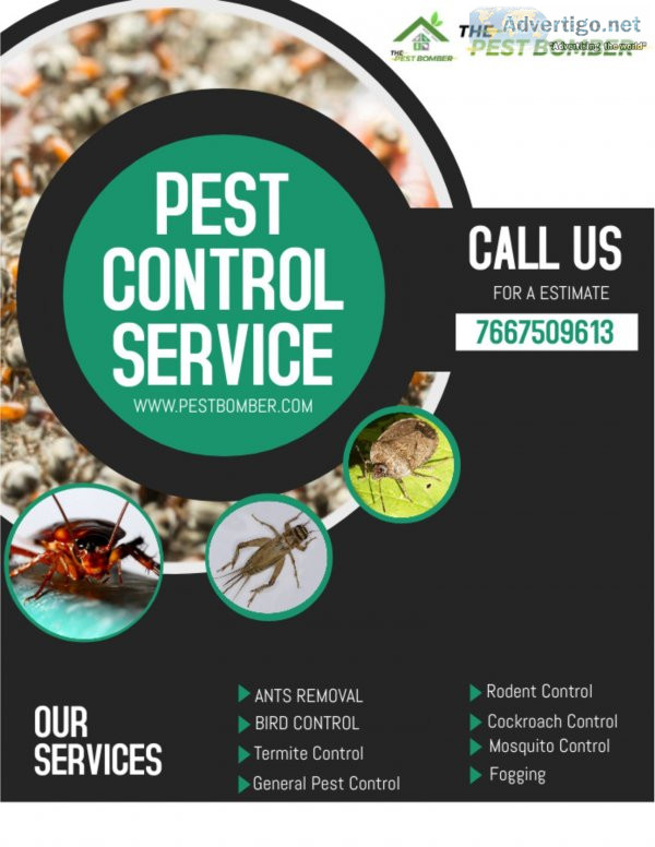 Pest control in ranchi