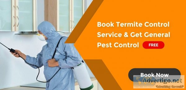 Pest control services in pune