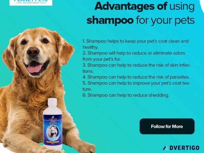 Give your black dog the planet pet spa treatment