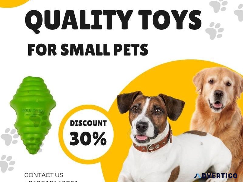 Quality Toys for Small Pets  Call 919810110201