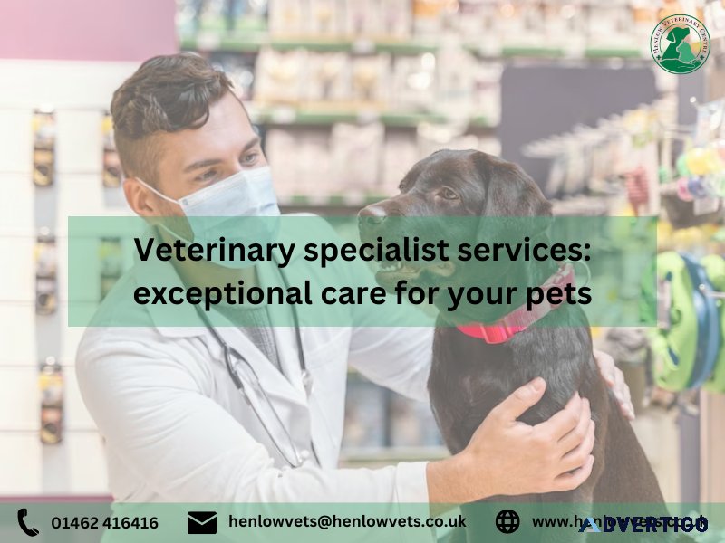 Veterinary specialist services exceptional care for your pets