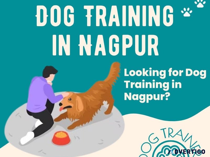 Dog Trainer in Nagpur