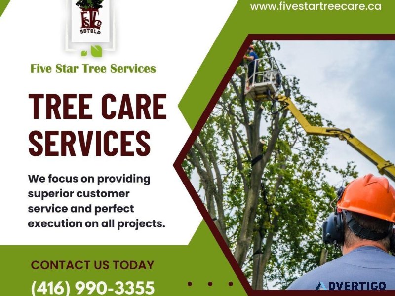 Tree Removal Services in Toronto