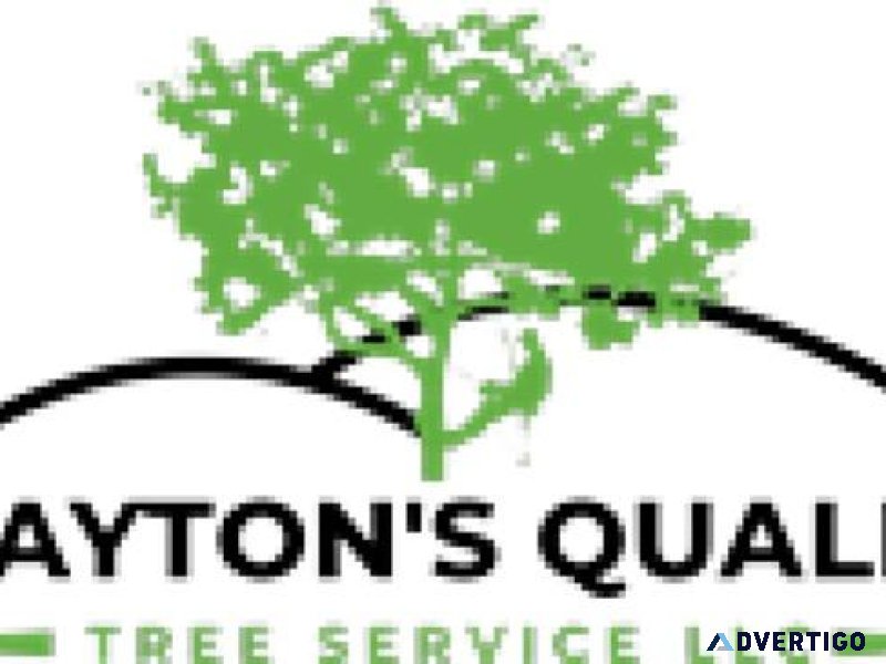 Tree Pruning Orlando - Clayton&rsquos Quality Tree Service LLC