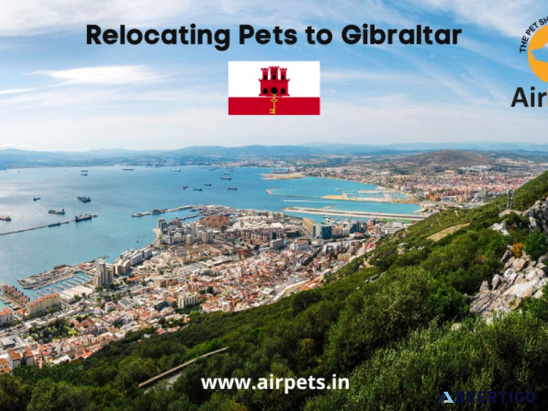 Relocating Pets to Gibraltar