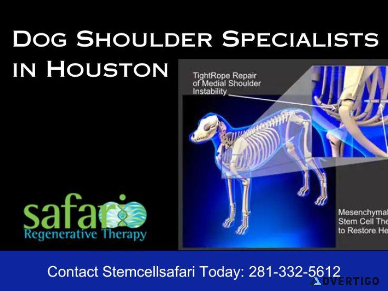 Dog Shoulder Specialists in Houston