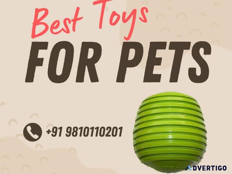 Best Toys for Pets - Your Pet s Joy Our Priority