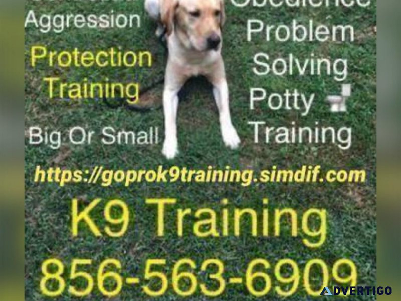 Obedience programs big and small