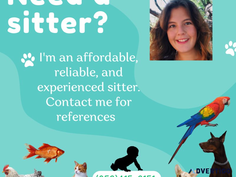 Need a Sitter