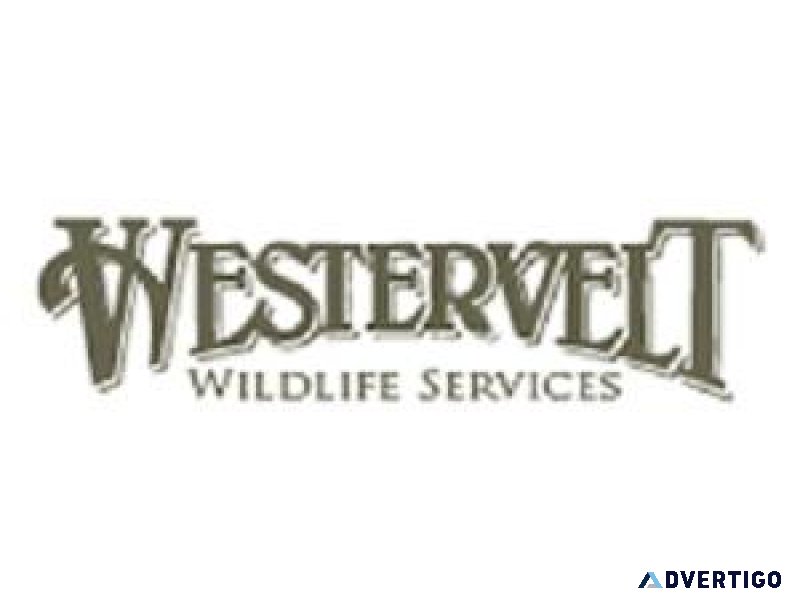 Leases Deer Hunting Clubs For sin Georgia