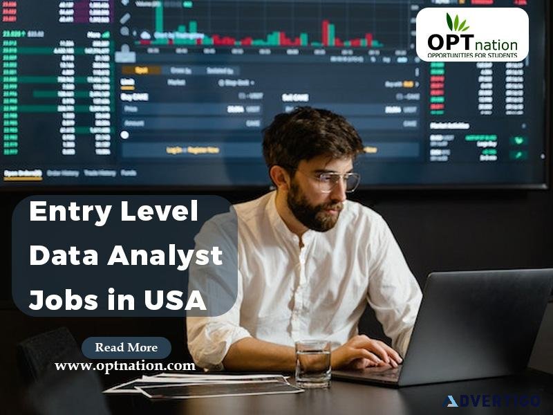 Entry Level Data Analyst Jobs in USA