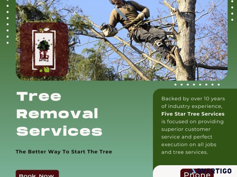 Tree Removal Services in Toronto