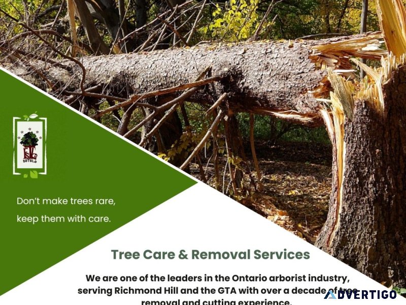 Tree Removal Services  Five Star Tree Services