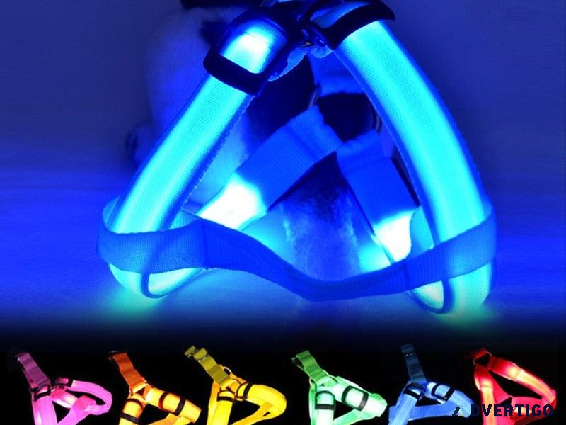 Free dog harness just pay shipping