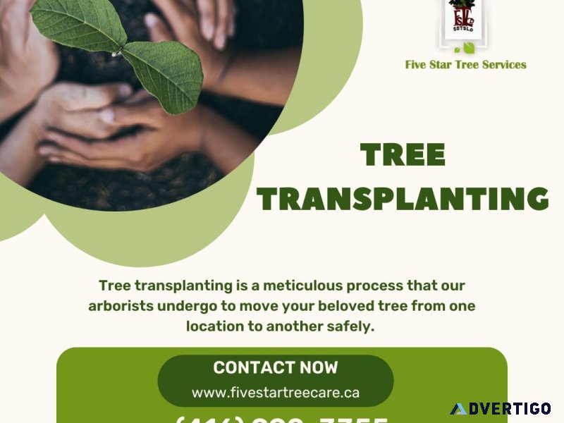 Tree Planting and Transplanting in Toronto