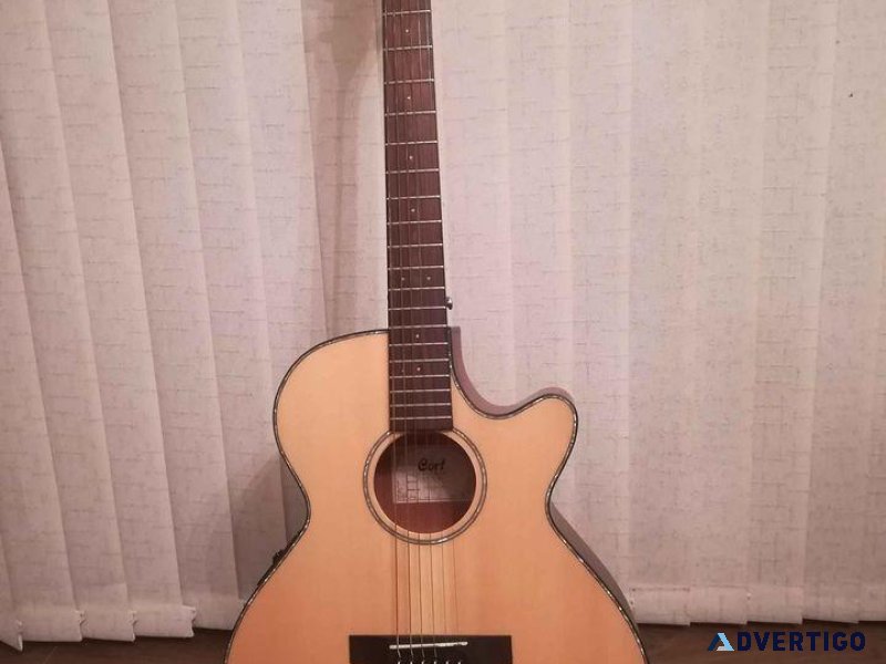 CORT electro acoustic guitar with carry case