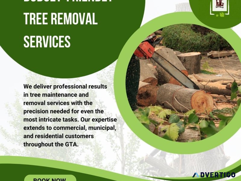 Affordable Tree Removal Service Toronto