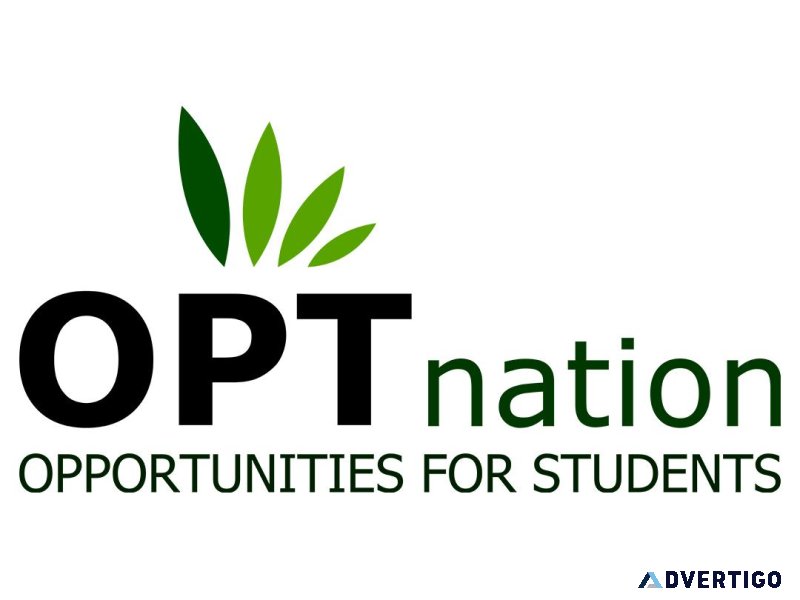 Entry Level Jobs For OPT Students