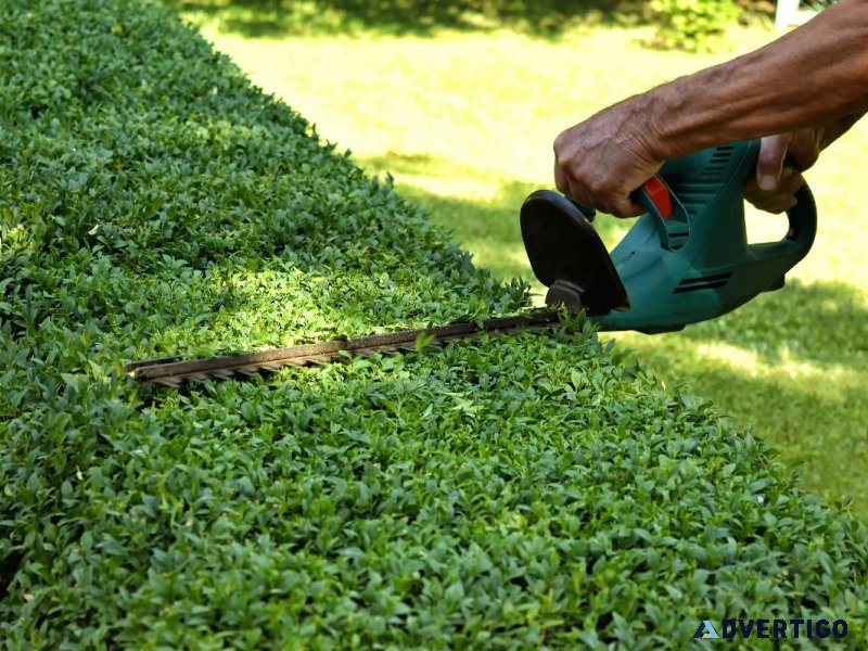 Hedge and Shrub Trimming Services in Toronto