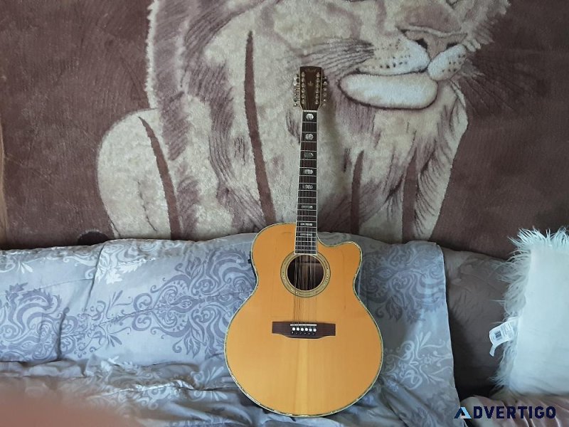 12 string Court