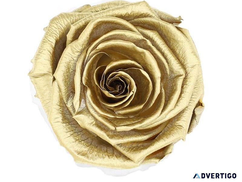 LUXURY .24K Gold Rose Symbolizes A Bond That Never Fades