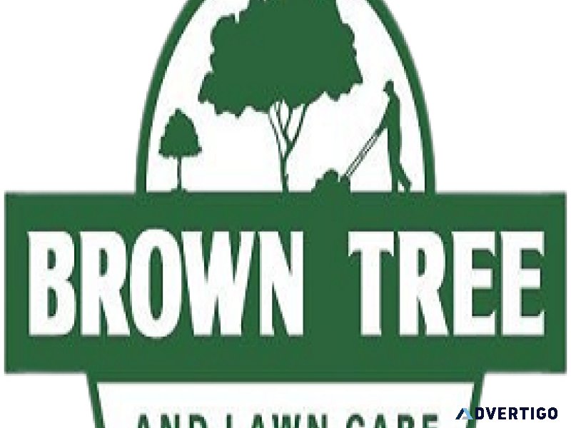 Brown Tree and Lawn Care