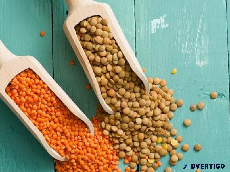 Canadian Green and Red Lentils Exporter and Supplier