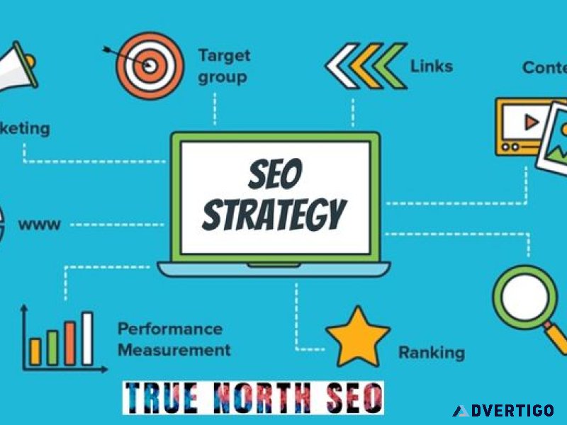 Boost your online visibility: seo strategy with true north seo